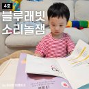 엄마와 함께 하는 보드게임 홈스쿨링 5 - 사회성 영역 | 자기주도형 프리미엄기관교재 블루래빗 소리놀잼 두돌아기 홈스쿨링