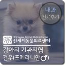 건우동물병원 이미지