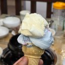 신바람오리 이미지