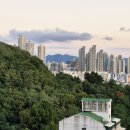 봉제산 오리나무쉼터 이미지