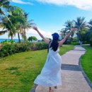 부르고신나고 이미지