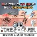 파티마약국 이미지