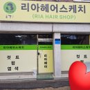 조종새싹로 네이버블로그