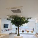 별고운빛의원 이미지