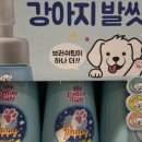 복똥이강아지 이미지