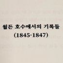 소소소×셀프워케이션 네이버블로그