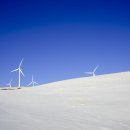 하늘목장 이미지