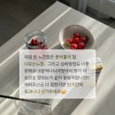 올트루 | [공구] 올트루 질유산균 추천 일주일 만에 만성질염 효과 봄 후기 있음