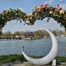 [일원1] 꽃과 식물이 함께 보타니칼 아트 | [부여] 백제 무왕의 연못 궁남지에서 열리는 2025 백제고도 부여 국화축제