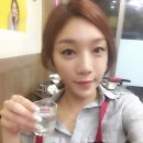 정원복돼지 이미지