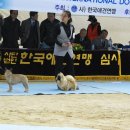 이천공설운동장 이미지