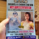 필 피트니스 이미지