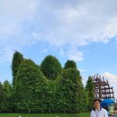 강원 공인중개사사무소 이미지