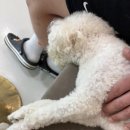 아이조아 요양보호소 서울점 이미지