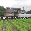 봉양목장 이미지