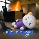 Plave 아시아투어 콘서트 후기