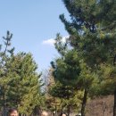 한신건강원 이미지