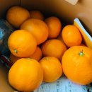 세화보건진료소 이미지