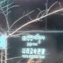 쭈쭈여행사 네이버블로그