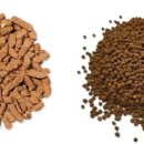 ㈜이앤켐솔루션 이미지