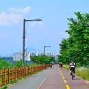 중원문화길 1구간 이미지