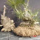 해송2로 이미지