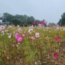 포레스트 오늘숲 군포송정점