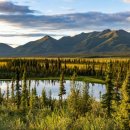 이레 행정사 이미지