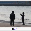 삼양해수욕장 이미지