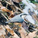 은평역사한옥박물관 이미지