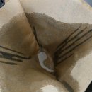 로스팅과 핸드드립 | 클래시커피로스터스 로스팅원두 에티오피아 아바야 게이샤 내추럴 핸드드립 후기