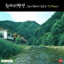 남이섬 봄펜션 이미지