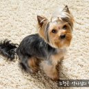 온누리강변프라자약국 이미지