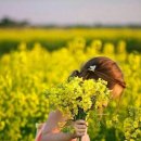 향기4로+향기5로 이미지