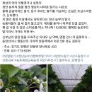 산수들향기