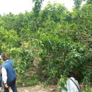 석현농장 이미지