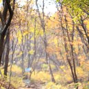 백봉목장 이미지