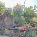 제주노을채 이미지