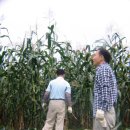 복음농장 이미지