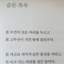 영혼에 닿는 언어로 부르는 노래 | 순결한 영혼 윤동주