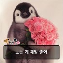멍냥반점