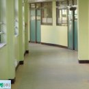 정릉초등학교 이미지