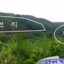 자유로태양광발전소 이미지