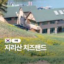 이송목장 | 유럽 동화같은 구례 여행지 지리산치즈랜드 수선화 개화현황