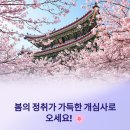 서산고향집 | 서산 개심사 봄 나들이