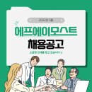 모스트데이즈