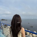 레드미장원 | 부산 사직동미용실 신길이네 미장원 동래사직점 애쉬브라운염색 하고왔어요
