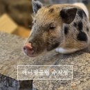 애니멀케어 | 용인아이랑실내가볼만한곳 애니멀클럽 수지점 주차장