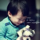 순심이 이미지