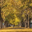 (주)은행나무 이미지